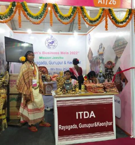 Innovation in Tribal Development Award