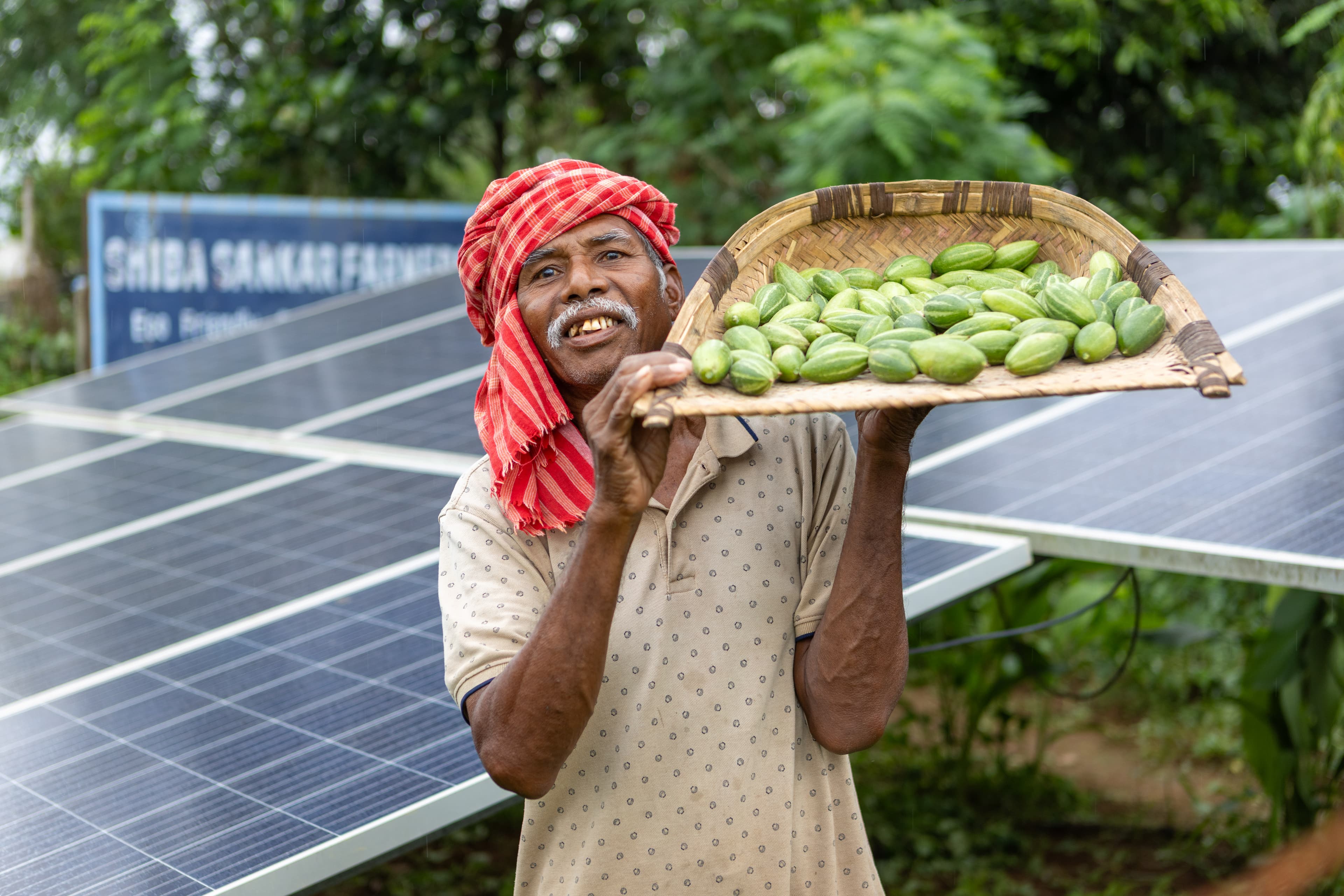 Rajesh working on his farm in Odisha