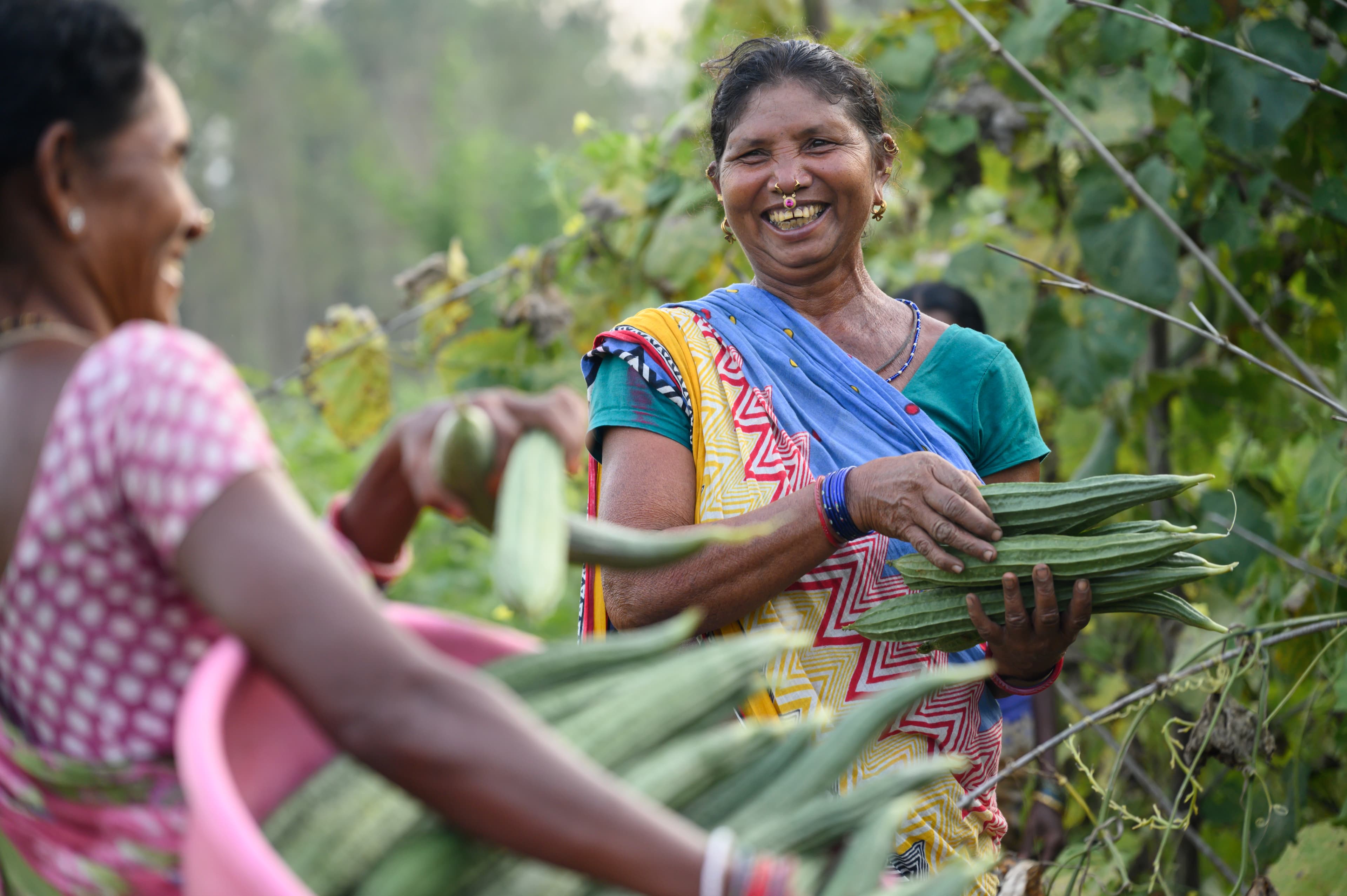 Community program field work