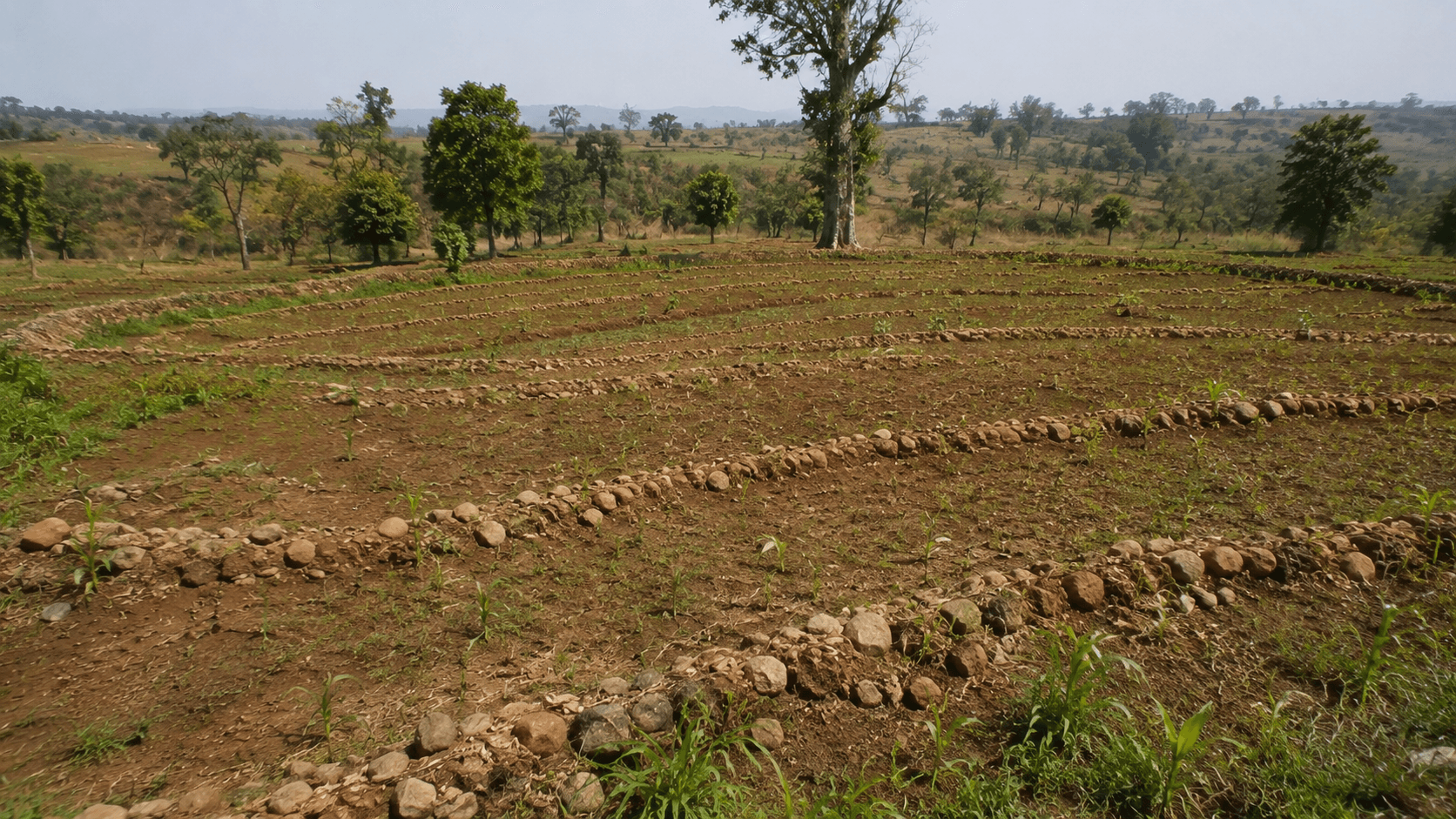 Soil conservation program image