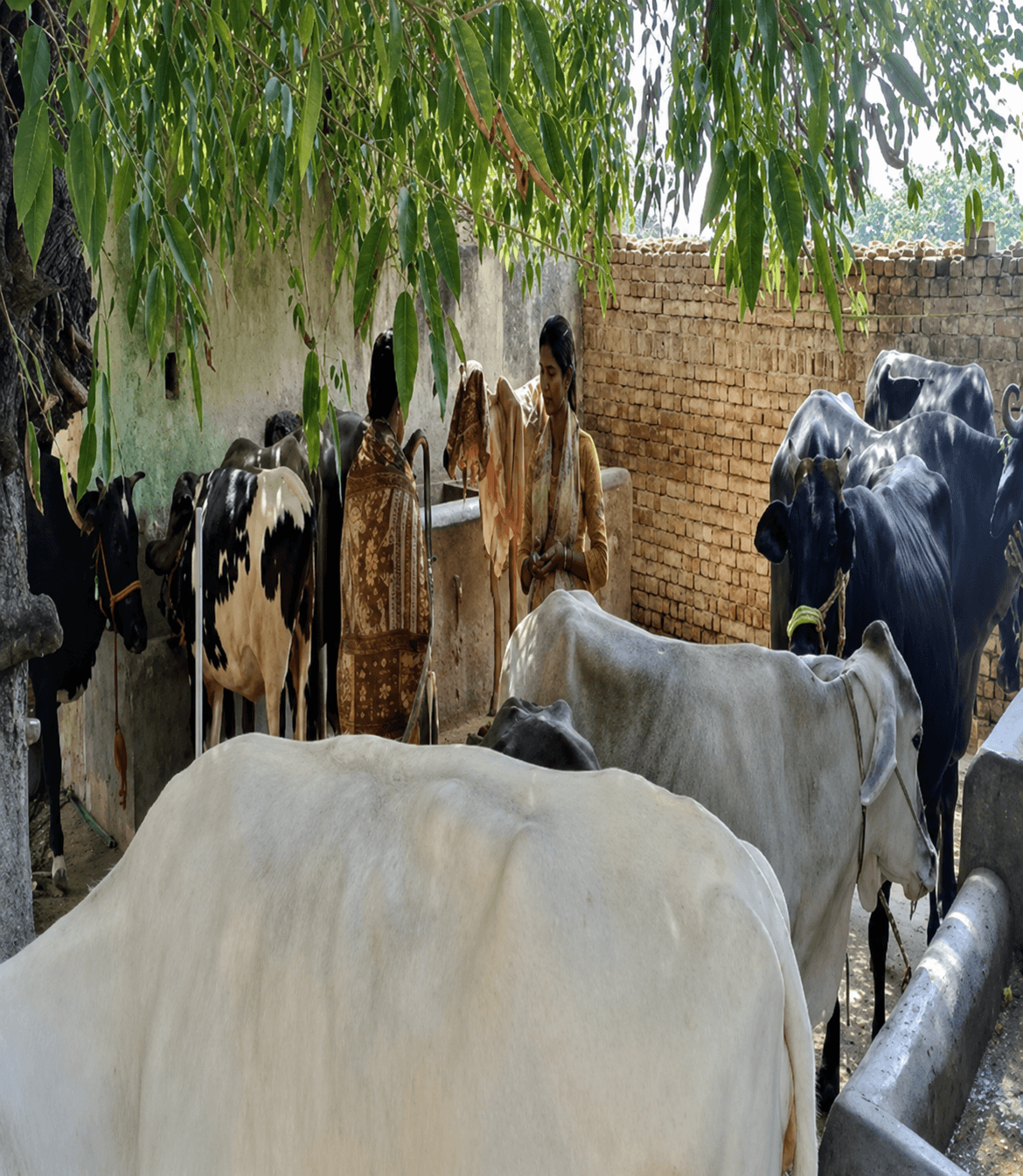 Farmers participating in the training programme