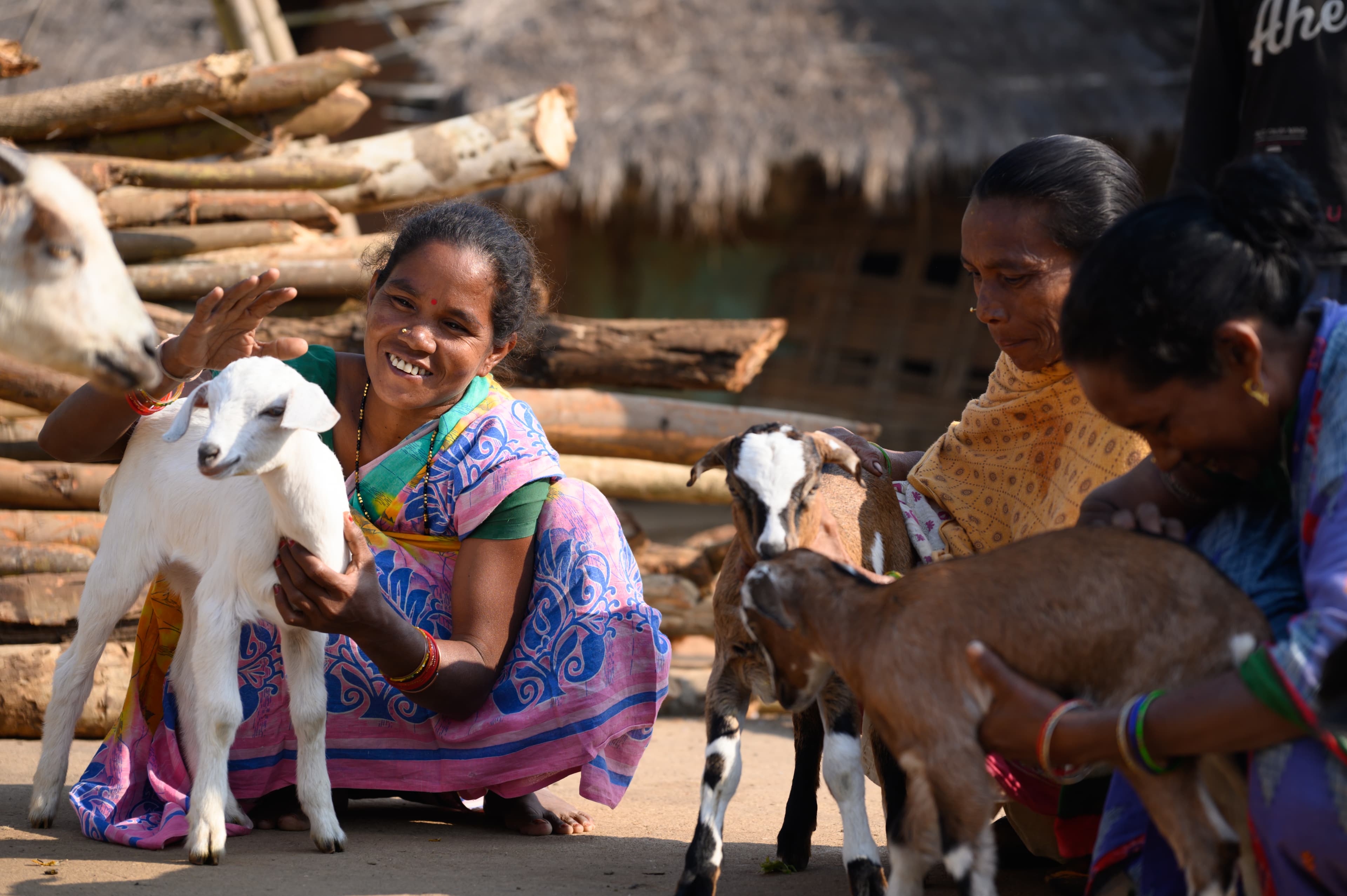 Livestock development program image